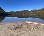 The view from the beach at Davis Lake