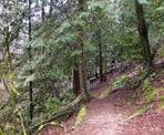 A hiking trail in Downes Bowl in Abbotsford