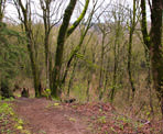 A trail near the highest point in Downes Bowl in Clearbrook Park in Abbotsford