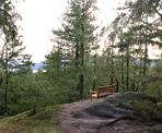 A bench at the top of the yellow trail in Hidden Grove north of Sechelt