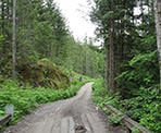 The gravel road and wooden bridge to Levette Lake