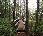 A wooden walkway near the Juniper Loop in Lighthouse Park