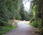 The beginning of the Lynn Loop Trail on the way to Lynn Peak