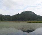 The view across the Lower Marsh looking towards the High Knoll in Minnekhada Regional Park