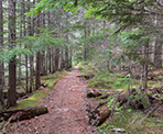 The trail near Green Lake heading towards the Parkhurst Ghost Town