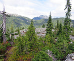 A view of Cathedral Mountain from the Paton Peak Trail