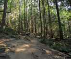 The Baden Powell Trail near Deep Cove on the way to Quarry Rock