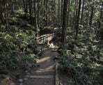 A bridge crosses a creek along the Baden Powell Trail on the way to Quarry Rock