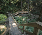 A wooden stairway along the Baden Powell Trail near Deep Cove, heading to Quarry Rock