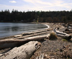 The beach at Sargeant Bay Provincial Park