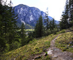 Looking out towards the Chief from Smoke Bluffs Park in Squamish