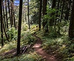 The steep Spirit Caves Trail in Yale, BC