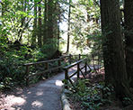 A wooden bridge near Beaver Lake in Stanley Park near downtown Vancouver