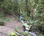 A creek coming down along side the trail to Teapot Hill