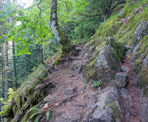 The hiking route is steep near the beginning of the Whippoorwill Point Trail