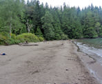 Sandy Cove is a secluded beach near Harrison Lake along the Whippoorwill Point Trail