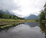 A cloudy day paddle along Widgeon Slough