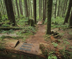 The hiking trail near Widgeon Falls