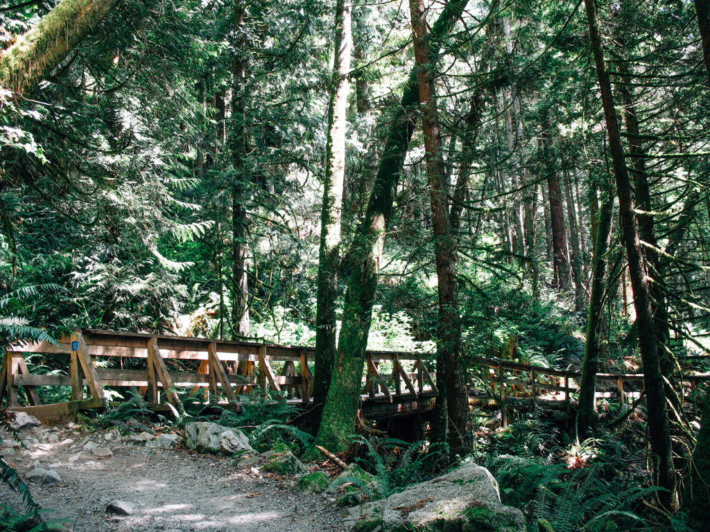 Buntzen Lake Hiking Near Port Moody Bc Vancouver Trails