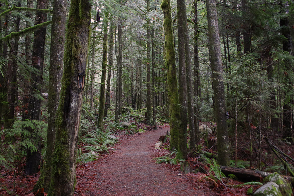 Cascade Falls And Suspension Bridge Vancouver Trails