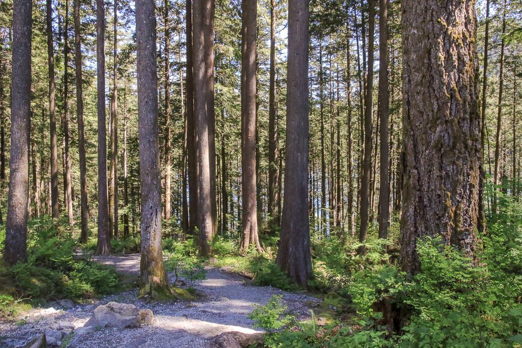 devils lake mountain biking